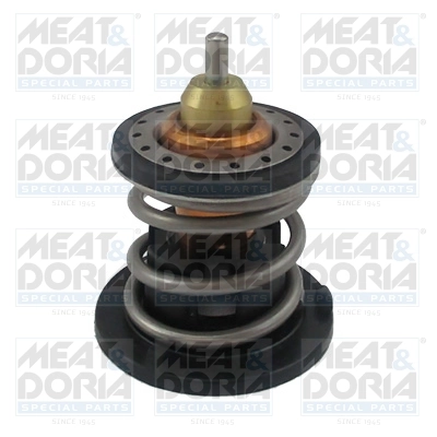 Thermostat, coolant